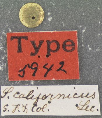Media type: image;   Entomology 5942 Aspect: labels